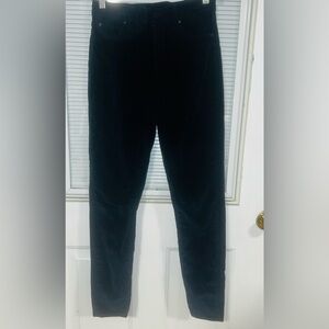 Articles Of Society Blue Black Women velveteen pants